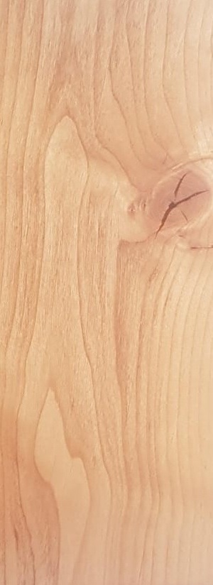 ЧЁРНАЯ ОЛЬХА