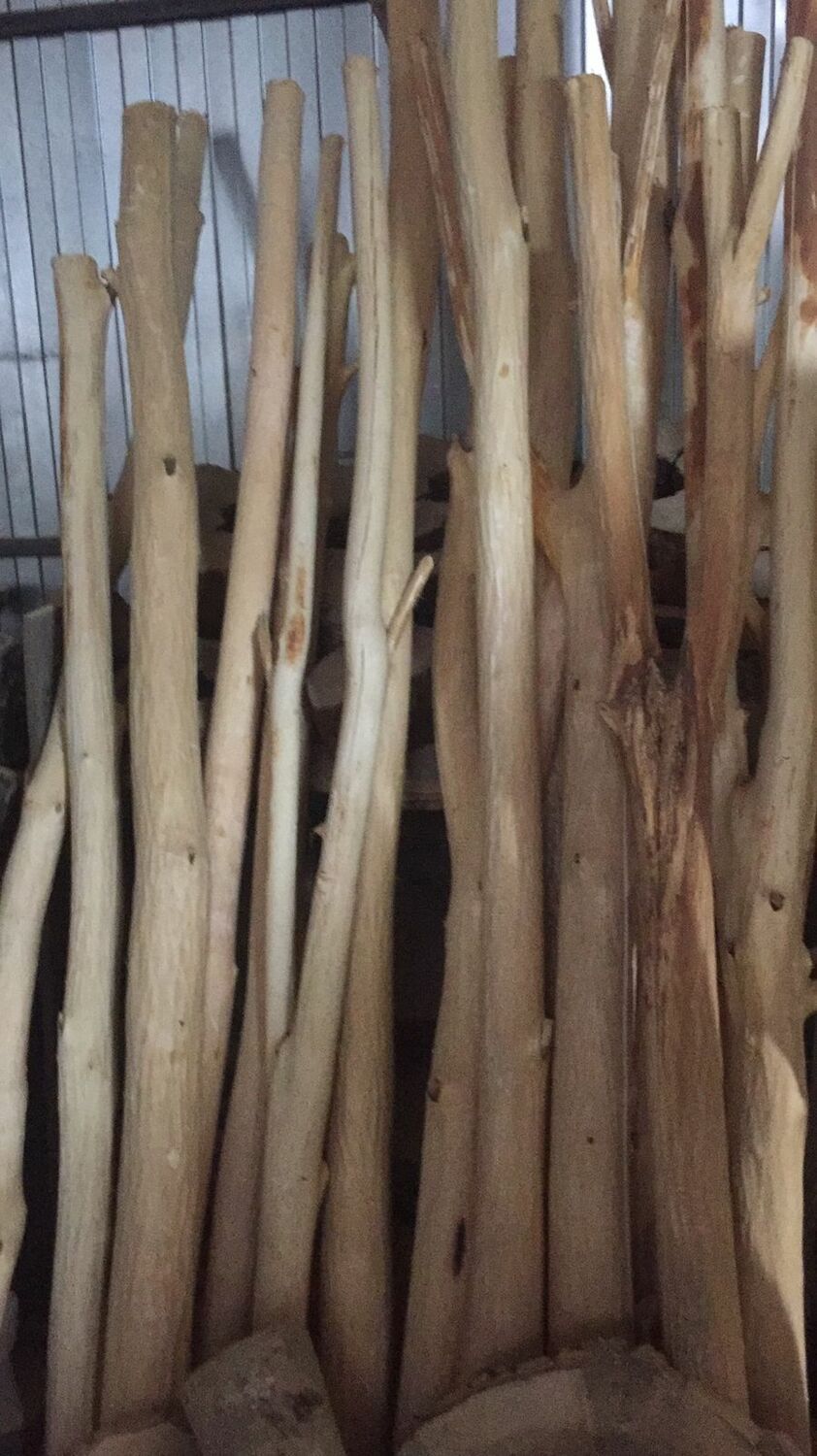 ВЕТКИ/СТВОЛЫ 